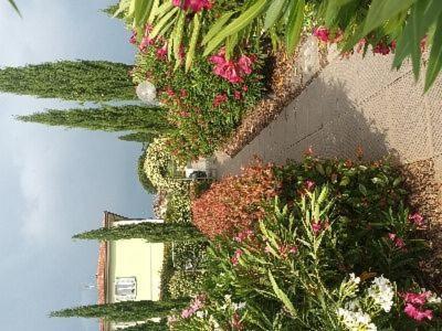 Villa Manuela Altopascio Exterior photo